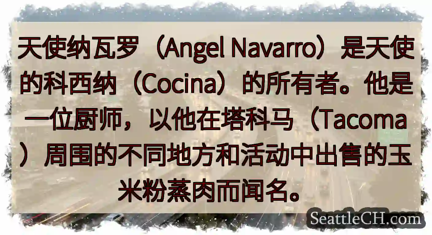天使纳瓦罗（Angel
