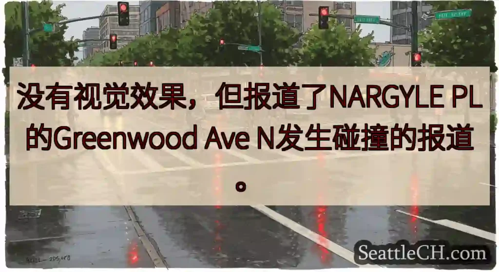 没有视觉效果，但报道了NARGYLE PL的Greenwood Ave N发生碰撞的报道。