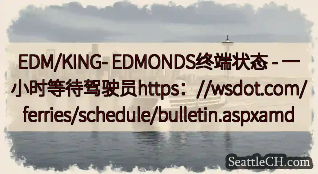 EDM/KING- EDMONDS终端状态 -