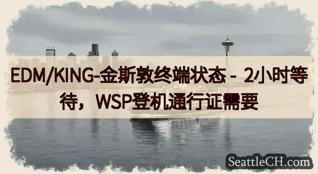 EDM/KING-金斯敦终端状态 -