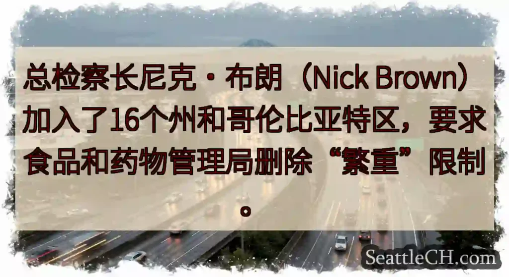 总检察长尼克·布朗（Nick