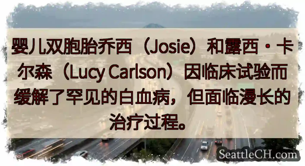 婴儿双胞胎乔西（Josie）和露西·卡尔森（Lucy