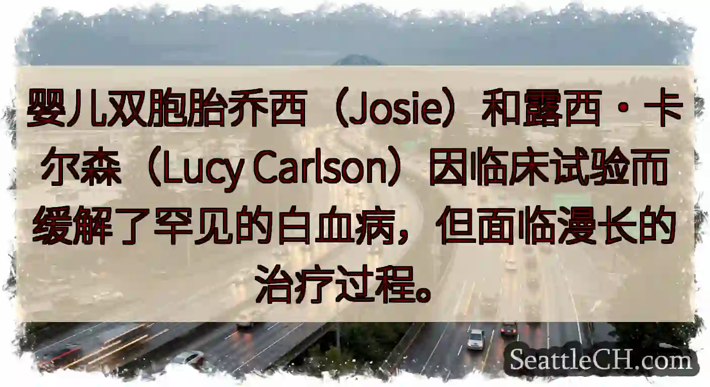 婴儿双胞胎乔西（Josie）和露西·卡尔森（Lucy