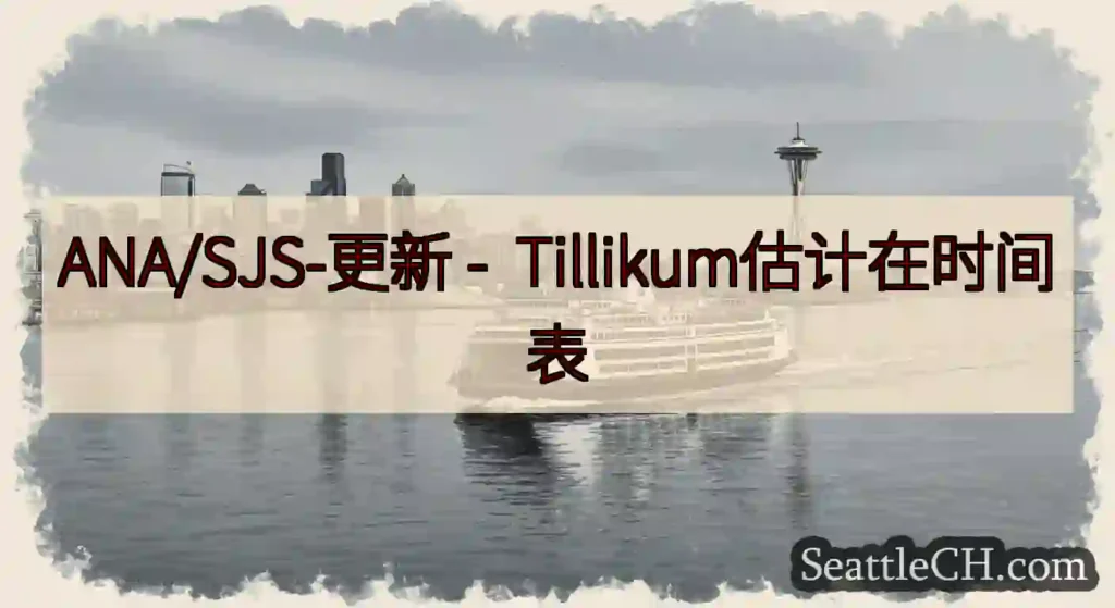 ANA/SJS-更新 -
