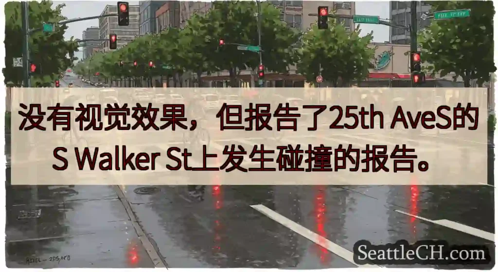 没有视觉效果，但报告了25th AveS的S Walker St上发生碰撞的报告。