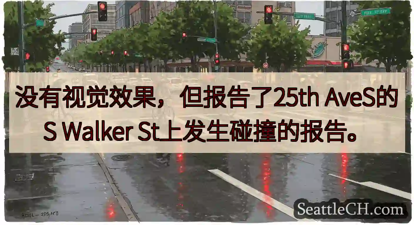 没有视觉效果，但报告了25th AveS的S Walker St上发生碰撞的报告。