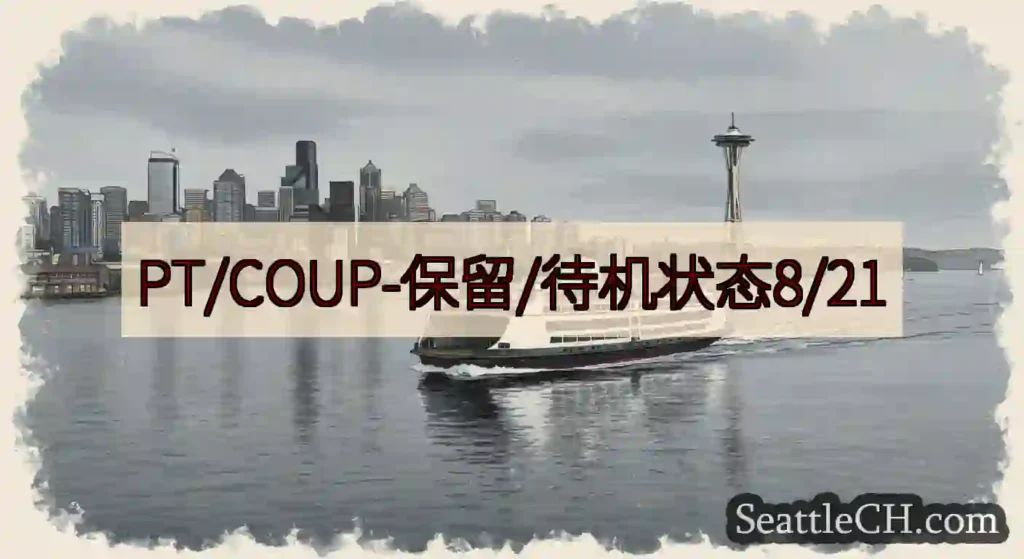 PT/COUP-保留/待机状态8/21