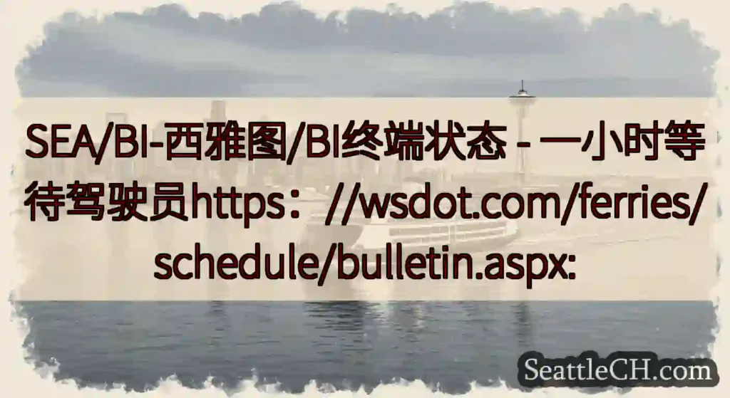 SEA/BI-西雅图/BI终端状态 -
