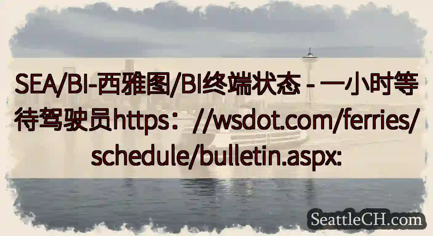 SEA/BI-西雅图/BI终端状态 -