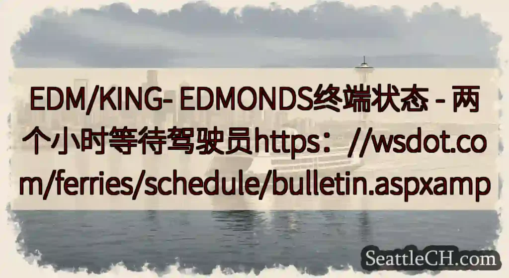 EDM/KING- EDMONDS终端状态 -