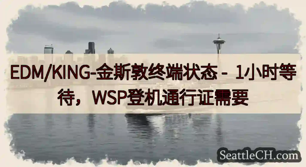 EDM/KING-金斯敦终端状态 -