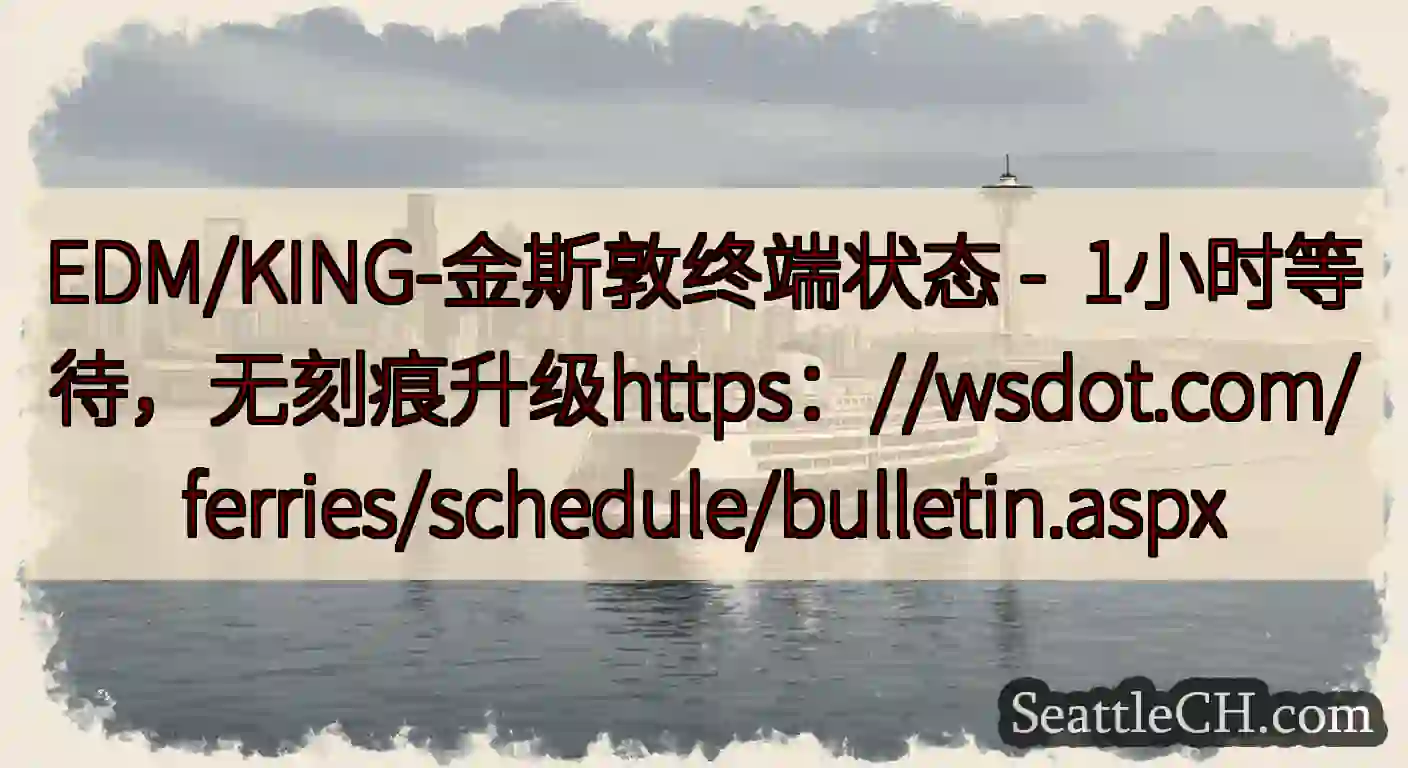 EDM/KING-金斯敦终端状态 -