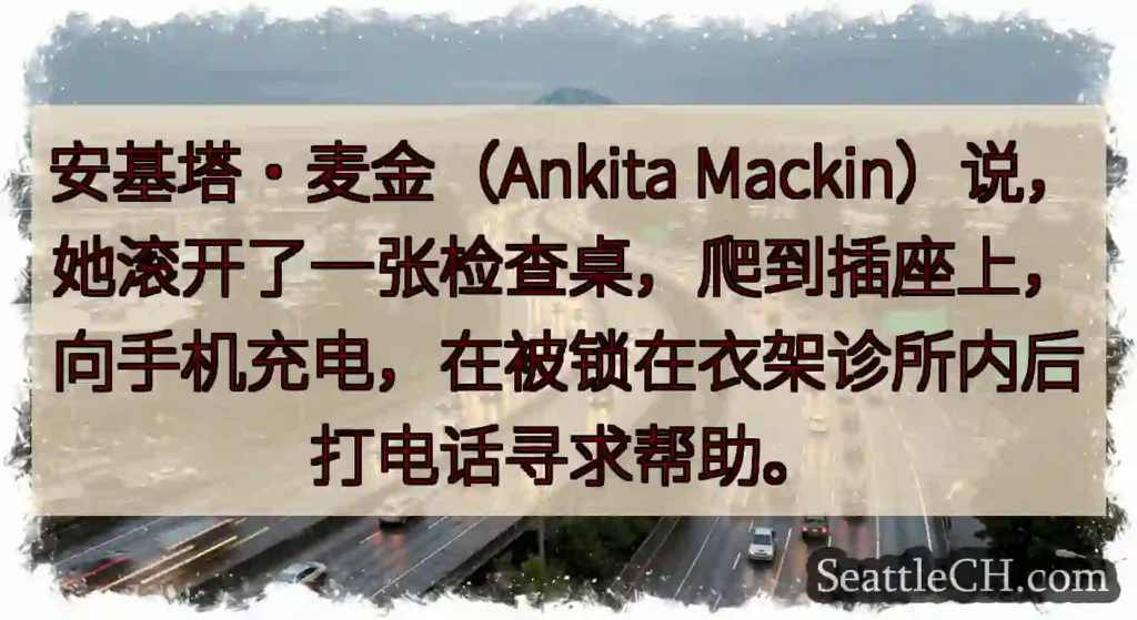 安基塔·麦金（Ankita