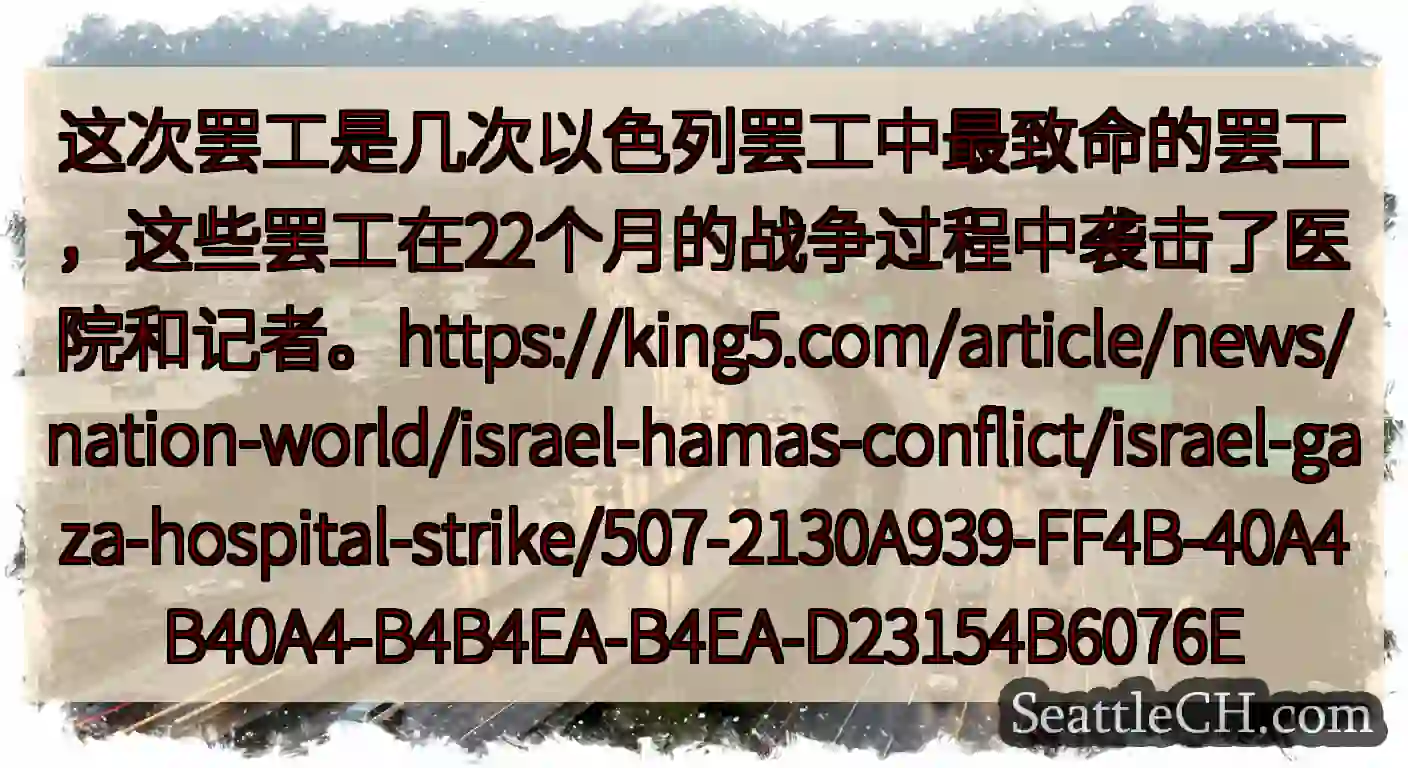 这次罢工是几次以色列罢工中最致命的罢工，这些罢工在22个月的战争过程中袭击了医院和记者。https: