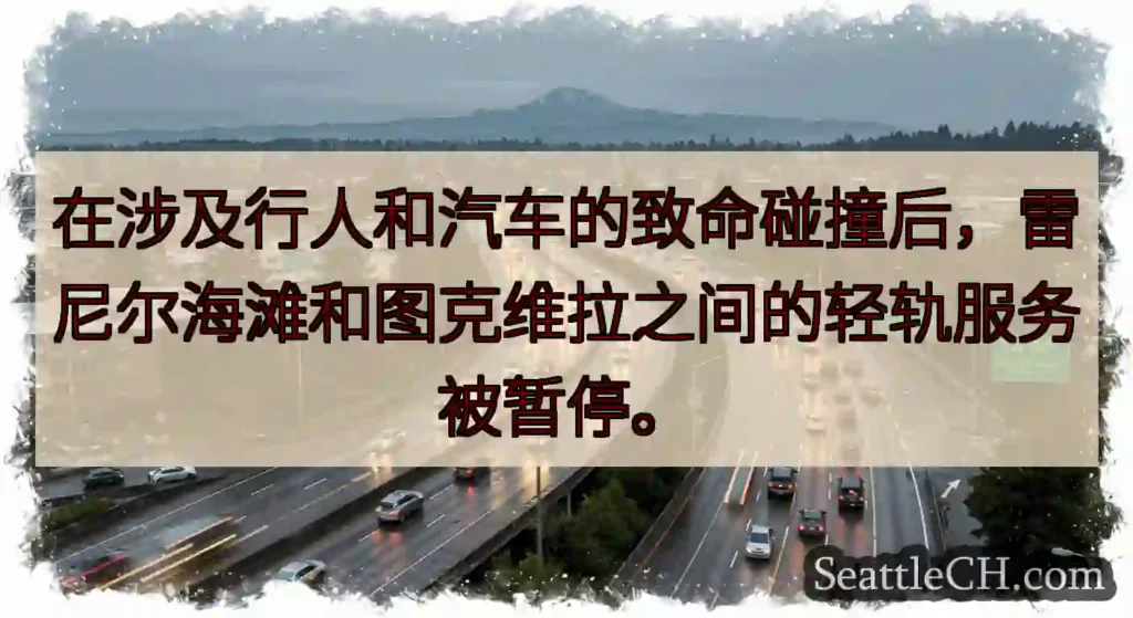 在涉及行人和汽车的致命碰撞后，雷尼尔海滩和图克维拉之间的轻轨服务被暂停。