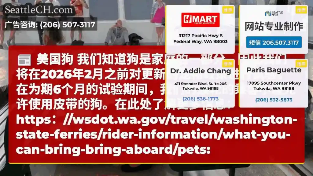 美国狗