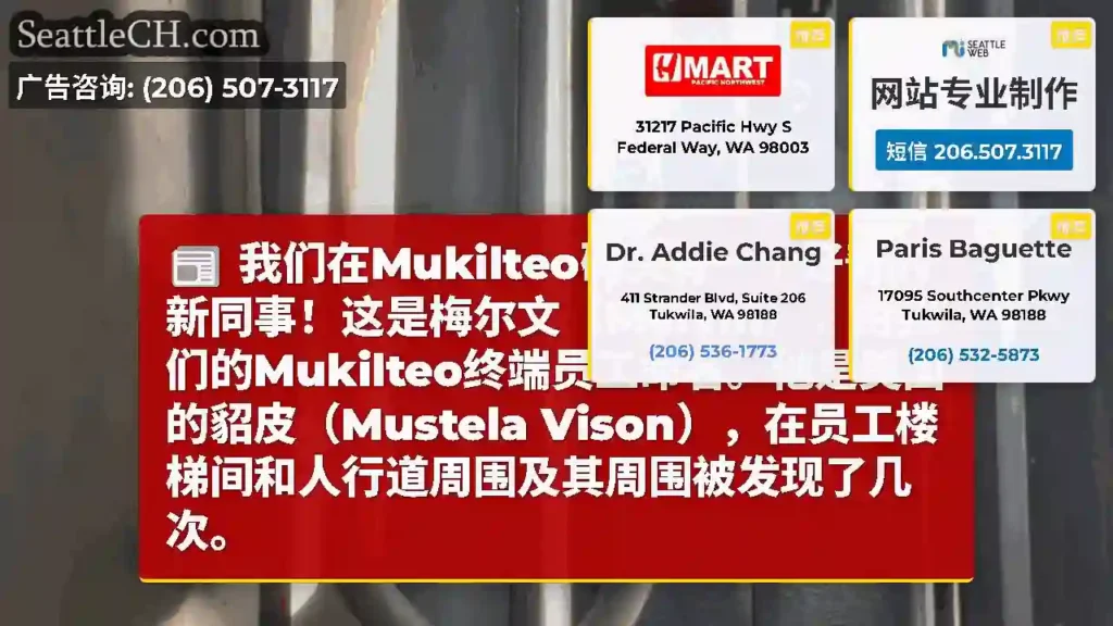 我们在Mukilteo码头有一个好奇的新同事！这是梅尔文（Melvin），由我们的Mukilteo终