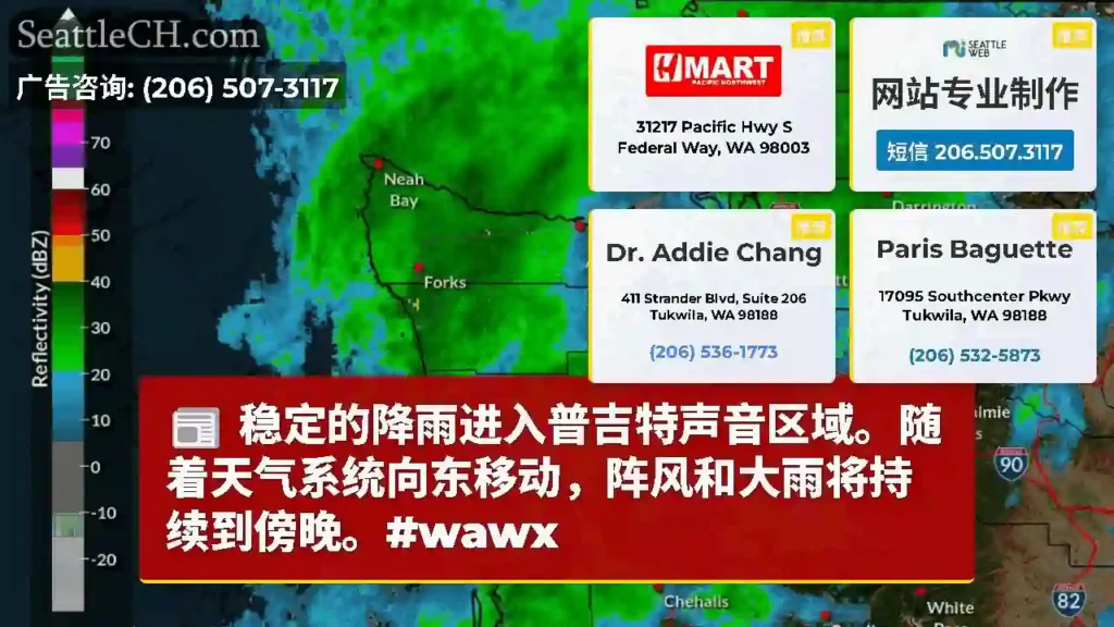 稳定的降雨进入普吉特声音区域。随着天气系统向东移动，阵风和大雨将持续到傍晚。#wawx
