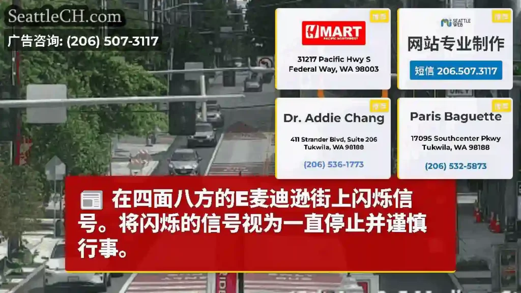 在四面八方的E麦迪逊街上闪烁信号。将闪烁的信号视为一直停止并谨慎行事。