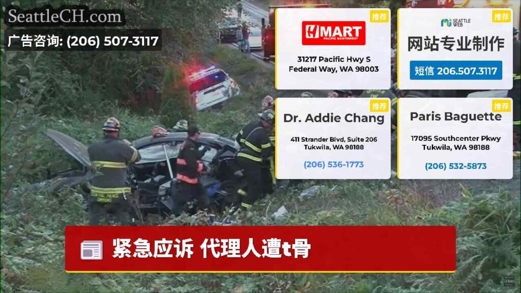 紧急应诉 代理人遭t骨