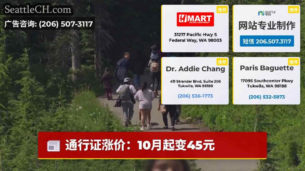 通行证涨价：10月起变45元