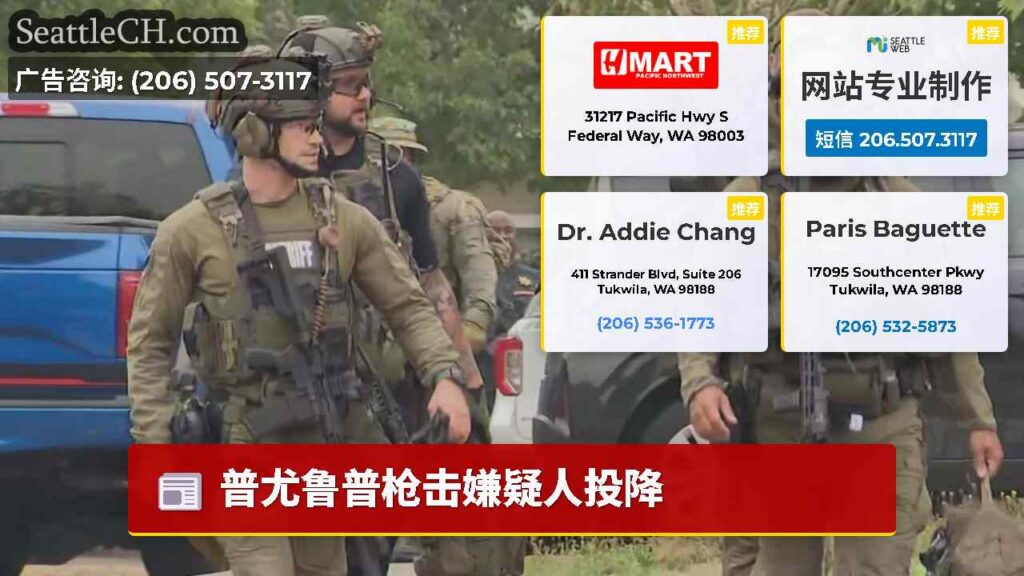普尤鲁普枪击嫌疑人投降