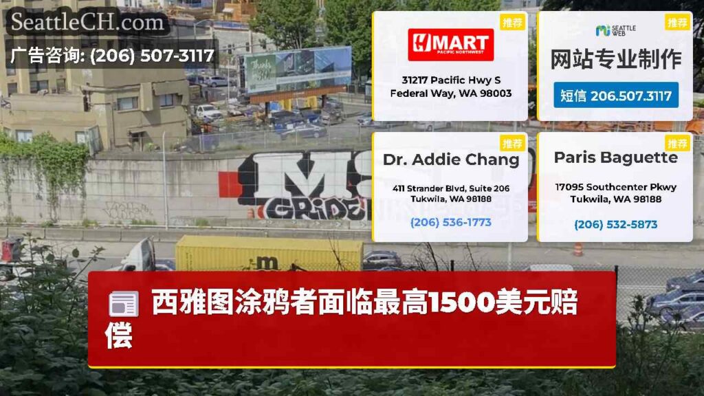 西雅图涂鸦者面临最高1500美元赔偿
