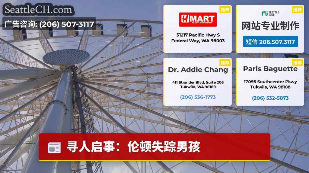 寻人启事：伦顿失踪男孩
