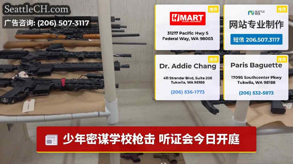 少年密谋学校枪击 听证会今日开庭