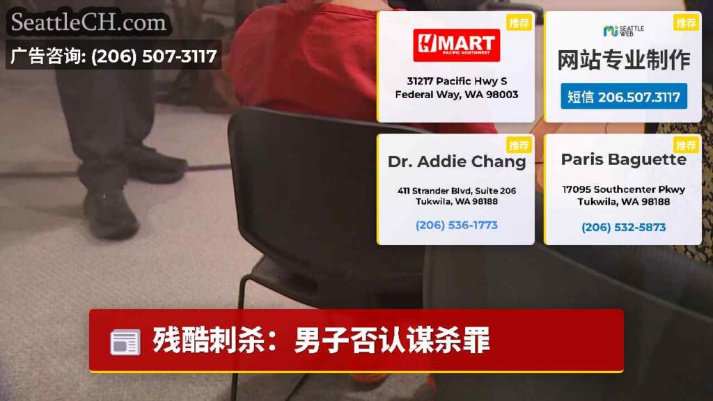 残酷刺杀：男子否认谋杀罪