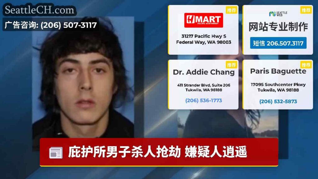庇护所男子杀人抢劫 嫌疑人逍遥