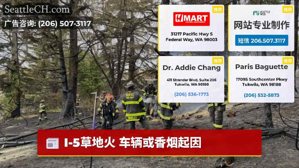 I-5草地火 车辆或香烟起因