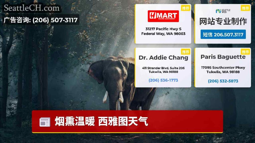 烟熏温暖 西雅图天气