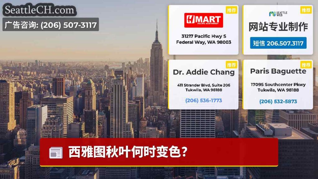 西雅图秋叶何时变色？