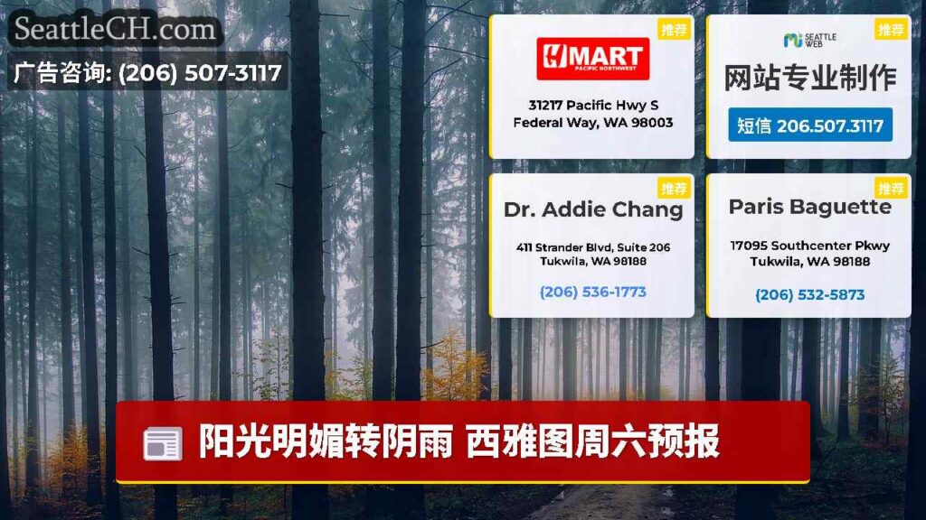 阳光明媚转阴雨 西雅图周六预报