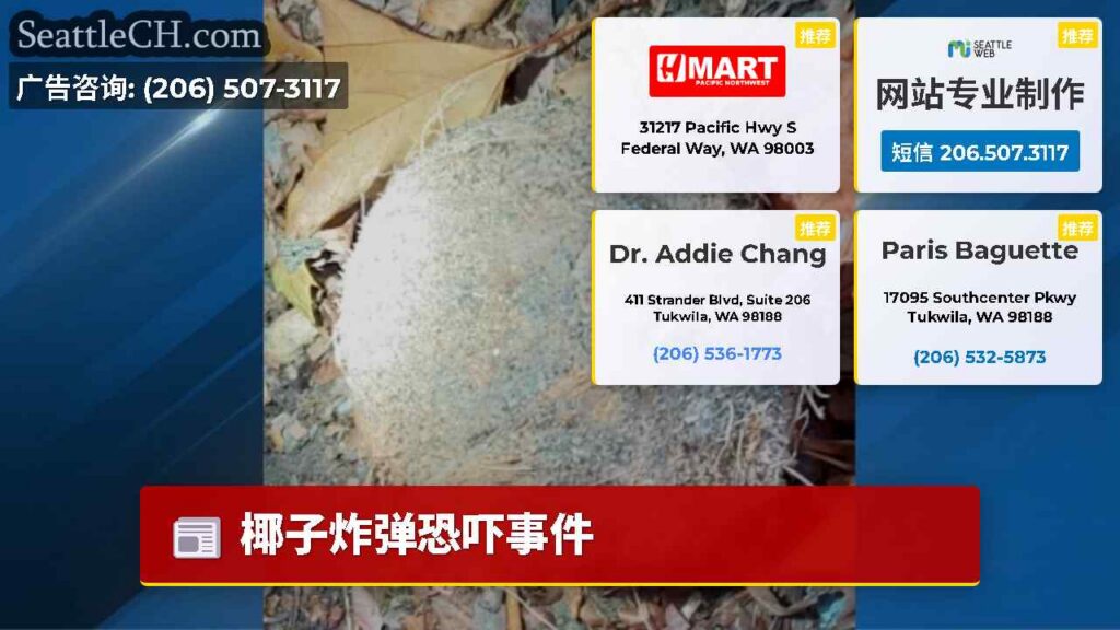 椰子炸弹恐吓事件