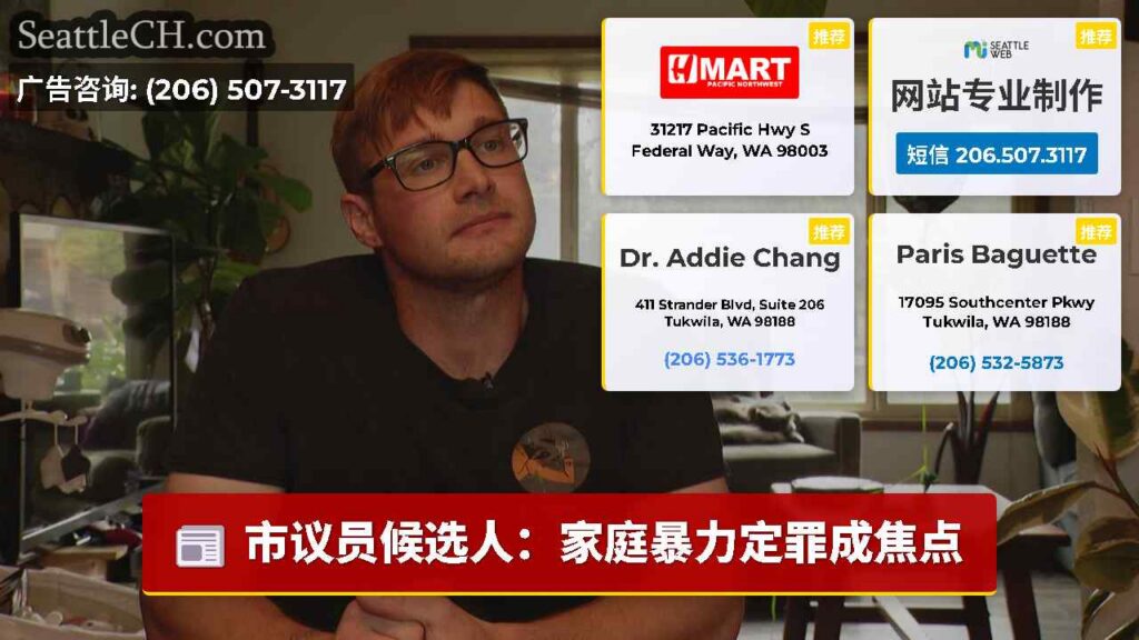 市议员候选人：家庭暴力定罪成焦点