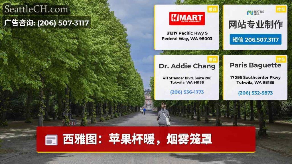 西雅图：苹果杯暖，烟雾笼罩