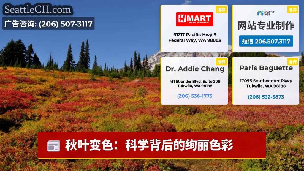 秋叶变色：科学背后的绚丽色彩