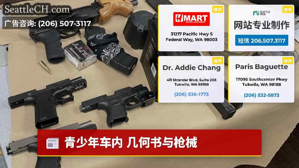 青少年车内 几何书与枪械