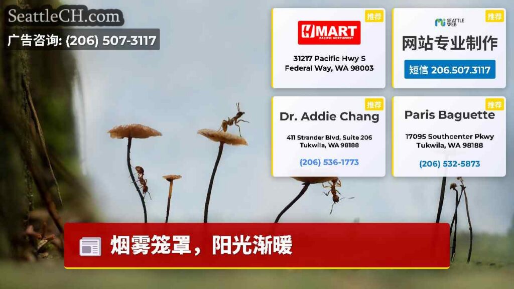 烟雾笼罩，阳光渐暖