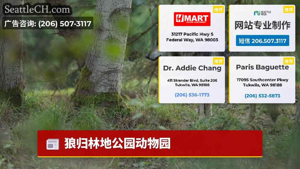 狼归林地公园动物园