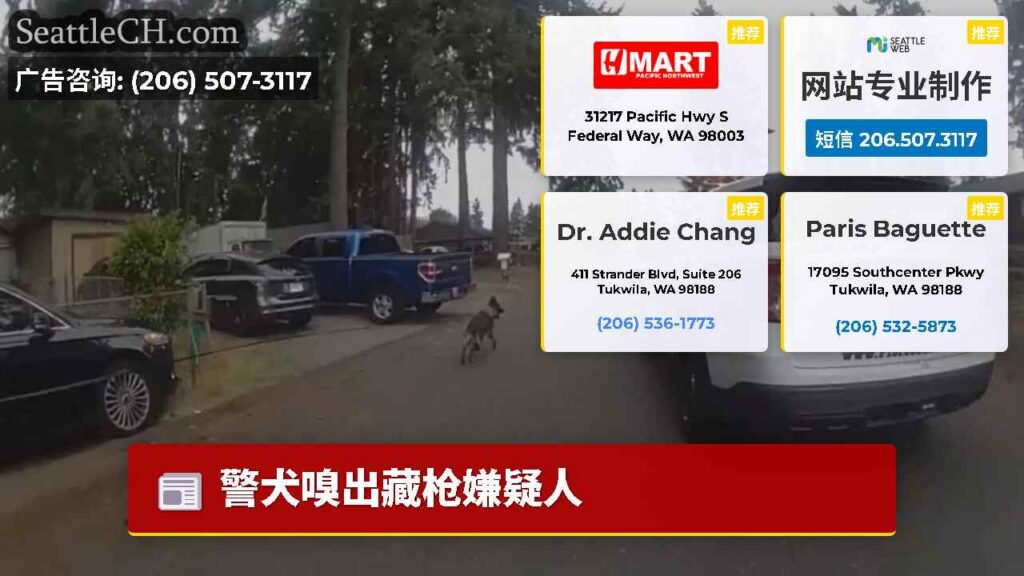 警犬嗅出藏枪嫌疑人