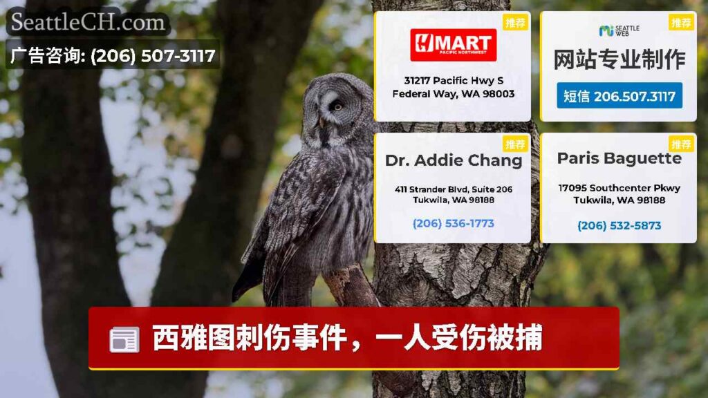 西雅图刺伤事件，一人受伤被捕