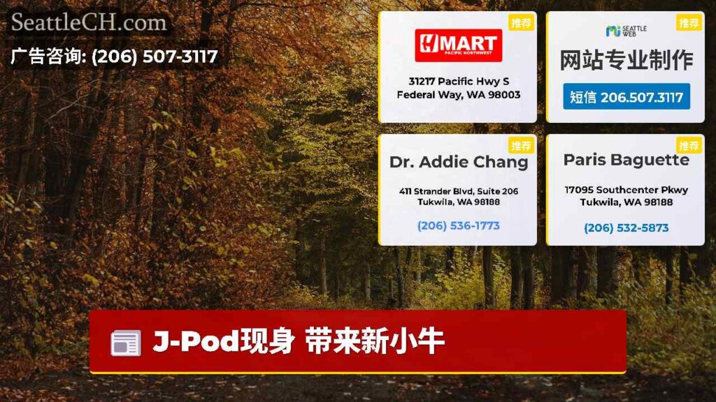 J-Pod现身 带来新小牛