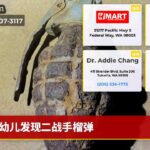 幼儿发现二战手榴弹