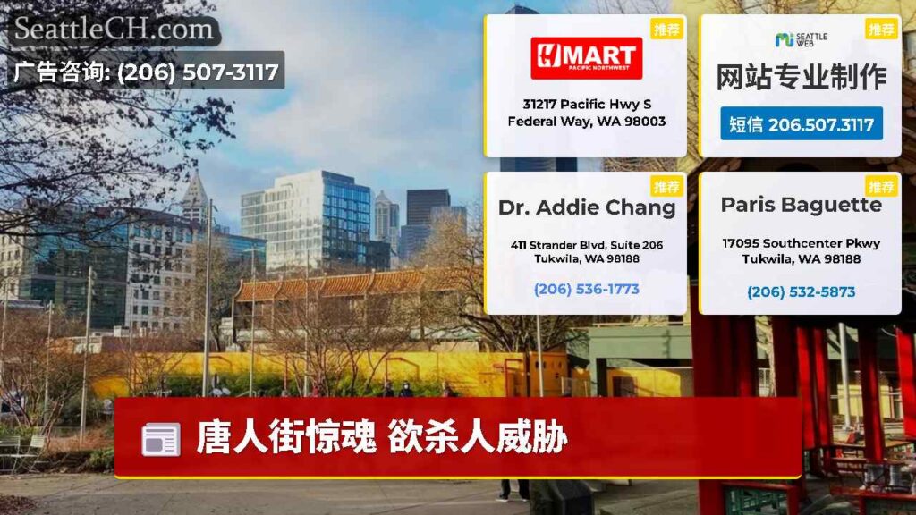 唐人街惊魂 欲杀人威胁