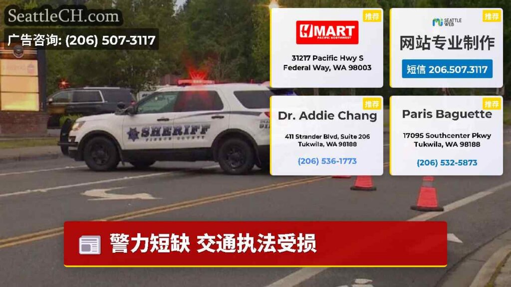 警力短缺 交通执法受损
