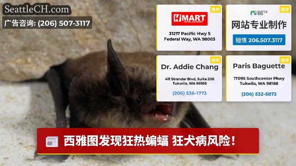 西雅图发现狂热蝙蝠 狂犬病风险！