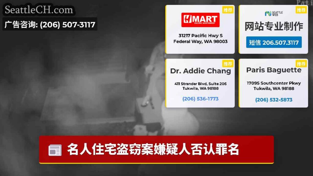 名人住宅盗窃案嫌疑人否认罪名